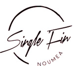 singlefin